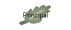 Principal