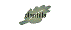 plantilla