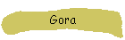 Gora