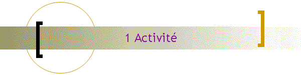1 Activit