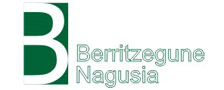 Berritzegune Nagusia